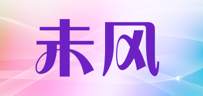 未风是什么牌子_未风品牌怎么样?