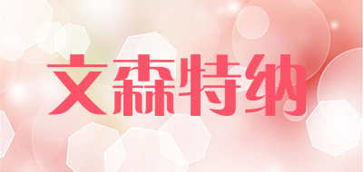 VINSON TERNER是什么牌子_文森特纳品牌怎么样?