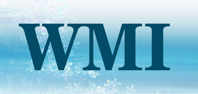 WMI是什么牌子_WMI品牌怎么样?