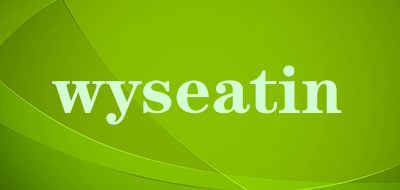 wyseatin是什么牌子_wyseatin品牌怎么样?