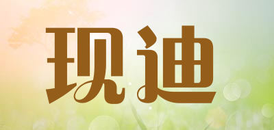 XIANDI是什么牌子_现迪品牌怎么样?