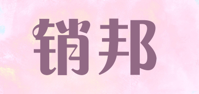 supoin是什么牌子_销邦品牌怎么样?