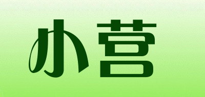 xiaoying是什么牌子_小营品牌怎么样?