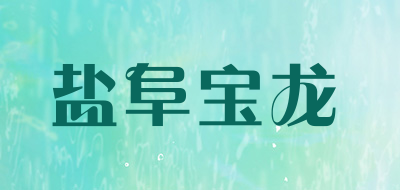 盐阜宝龙是什么牌子_盐阜宝龙品牌怎么样?