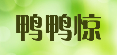 鸭鸭惊是什么牌子_鸭鸭惊品牌怎么样?