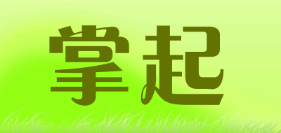 掌起是什么牌子_掌起品牌怎么样?