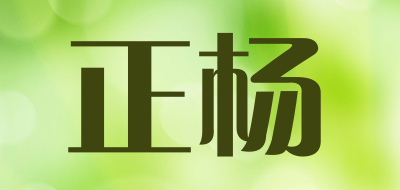 正杨是什么牌子_正杨品牌怎么样?