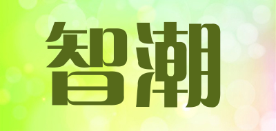 智潮是什么牌子_智潮品牌怎么样?
