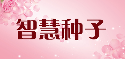 智慧种子是什么牌子_智慧种子品牌怎么样?
