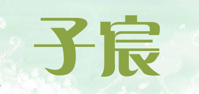 子宸是什么牌子_子宸品牌怎么样?