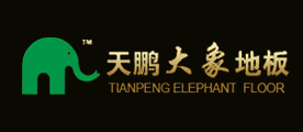 天鹏大象是什么牌子_天鹏大象品牌怎么样?