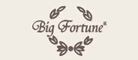 BigFortune是什么牌子_BigFortune品牌怎么样?