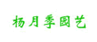 杨月季是什么牌子_杨月季品牌怎么样?