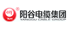 日辉-阳谷是什么牌子_日辉-阳谷品牌怎么样?
