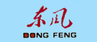 Dongfeng是什么牌子_东风品牌怎么样?
