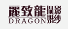 丽致龙是什么牌子_丽致龙品牌怎么样?