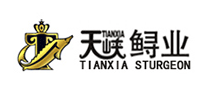 TIANXIA是什么牌子_天峡品牌怎么样?