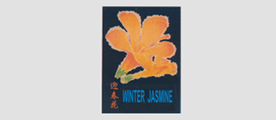 迎春花是什么牌子_迎春花品牌怎么样?
