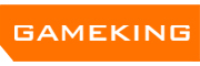 Gameking是什么牌子_Gameking品牌怎么样?
