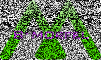 B·MORFEL是什么牌子_B·MORFEL品牌怎么样?