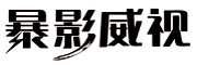 暴影威视是什么牌子_暴影威视品牌怎么样?