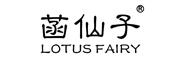 LOTUS FAIRY是什么牌子_菡仙子品牌怎么样?