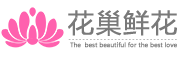florist是什么牌子_花巢品牌怎么样?