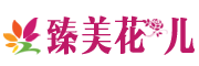 ZHENMEI是什么牌子_臻美品牌怎么样?