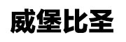 Levsivaog是什么牌子_威堡比圣品牌怎么样?