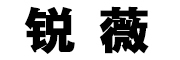 锐薇是什么牌子_锐薇品牌怎么样?
