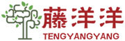 藤洋洋是什么牌子_藤洋洋品牌怎么样?