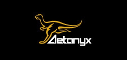 aetonyx是什么牌子_aetonyx品牌怎么样?