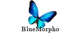 bluemorpho是什么牌子_bluemorpho品牌怎么样?