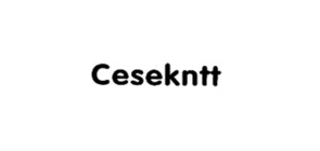 cesekntt是什么牌子_cesekntt品牌怎么样?