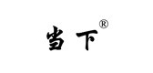 当下是什么牌子_当下品牌怎么样?