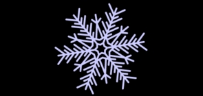 栋梁狐是什么牌子_栋梁狐品牌怎么样?