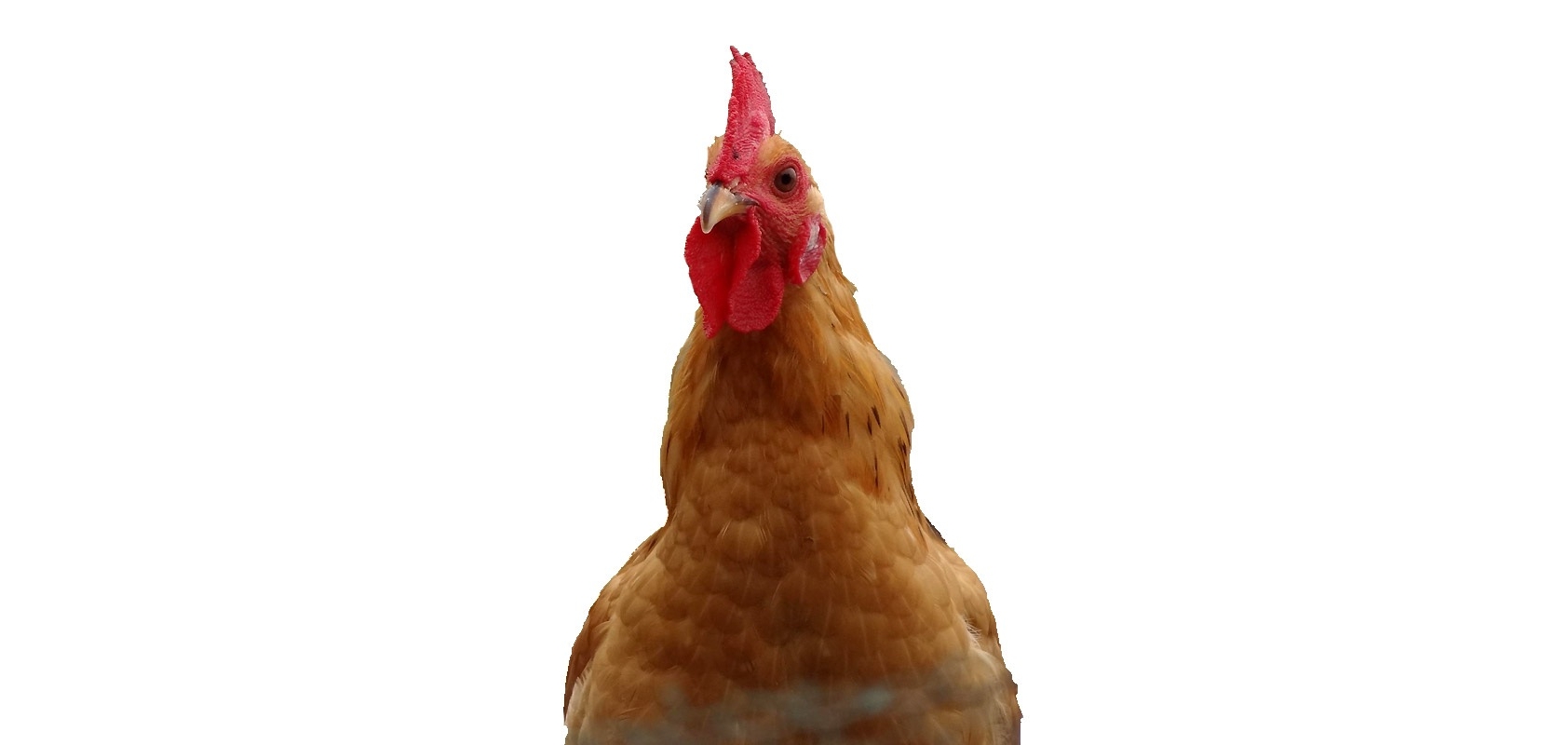 唛兜园是什么牌子_唛兜园品牌怎么样?