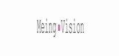 meingvision是什么牌子_meingvision品牌怎么样?