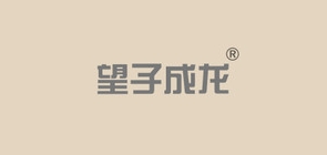 望子成龙童装是什么牌子_望子成龙童装品牌怎么样?