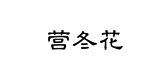 营冬花是什么牌子_营冬花品牌怎么样?